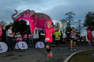 BIB: 
                            <button type="button" onclick="openModal(26529572)" class="btn btn-primary btn-sm float-right btn-popup" data-toggle="modal" data-target=".modal-high-quality">
                        <i class="fas fa-shopping-cart"></i> Add to Cart
                    </button>
                                            <button type="button" onclick="isThisMe(26529572, true)" class="btn btn-success btn-sm float-right btn-popup btn-isme hidden" data-toggle="tooltip" data-placement="bottom" title="นี่คือรูปของคุณใช่ไหม คลิกที่นี่เพื่อเอาเข้าอัลบั้ม">
                        <i class="fas fa-plus"></i> Add to album
                    </button>
                    <button type="button" onclick="isThisMe(26529572, false)" class="btn btn-warning btn-sm float-right btn-popup btn-isnotme hidden">
                        <i class="fas fa-ban"></i> Remove from album
                    </button>